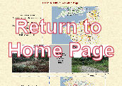 Return to Home Page
